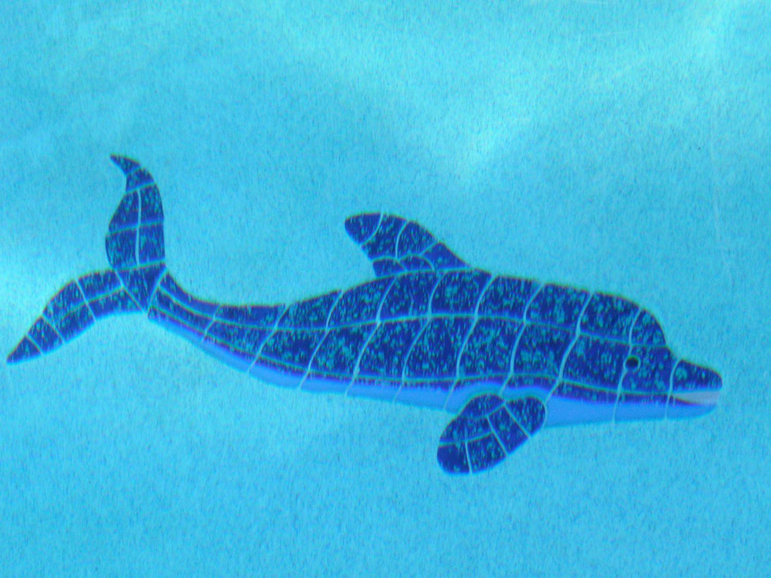 Willa Dolphin Retreat - East Boca Raton Zewnętrze zdjęcie